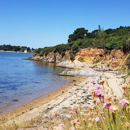 Breton Entre Et Forêt Lejlighed Brandivy